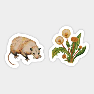 Possum and Dandelions Sticker